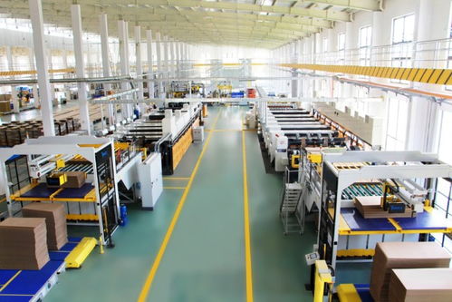 龍利得啟動新股申購,智能化標桿企業圓夢創業板上市再謀新發展